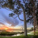 Sunrise over the view from Kings Park