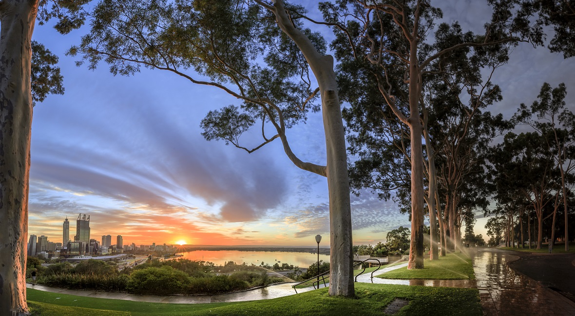 Sunrise over the view from Kings Park